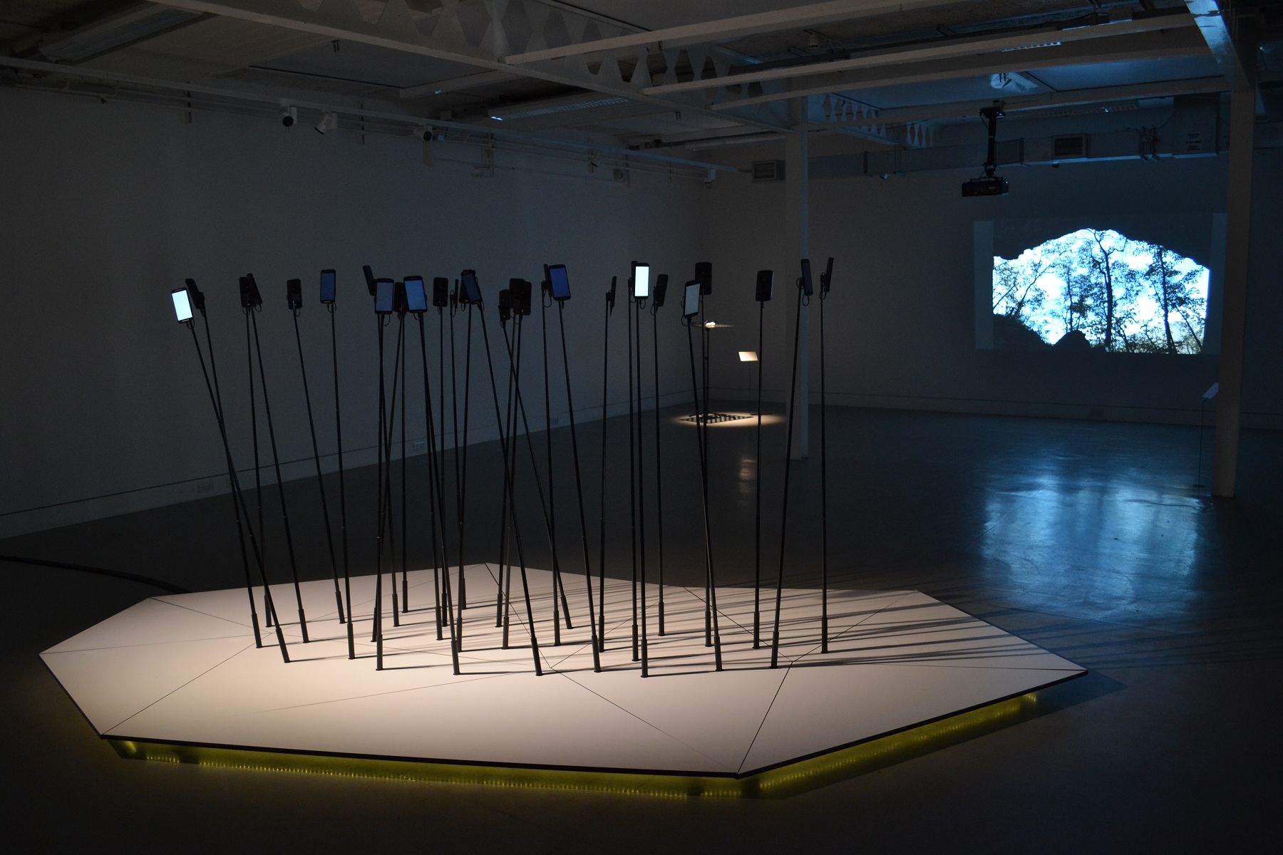 The Darwinian Orchestra exhibition view