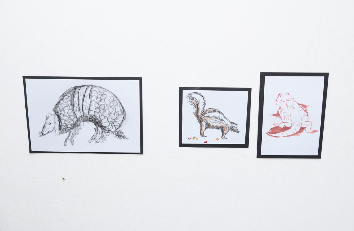 Student work on display at the animal life drawing exhibition