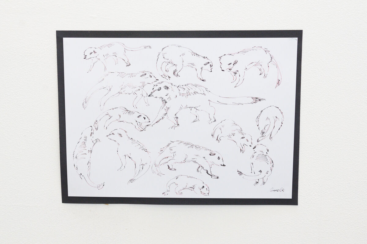 Student work on display at the animal life drawing exhibition