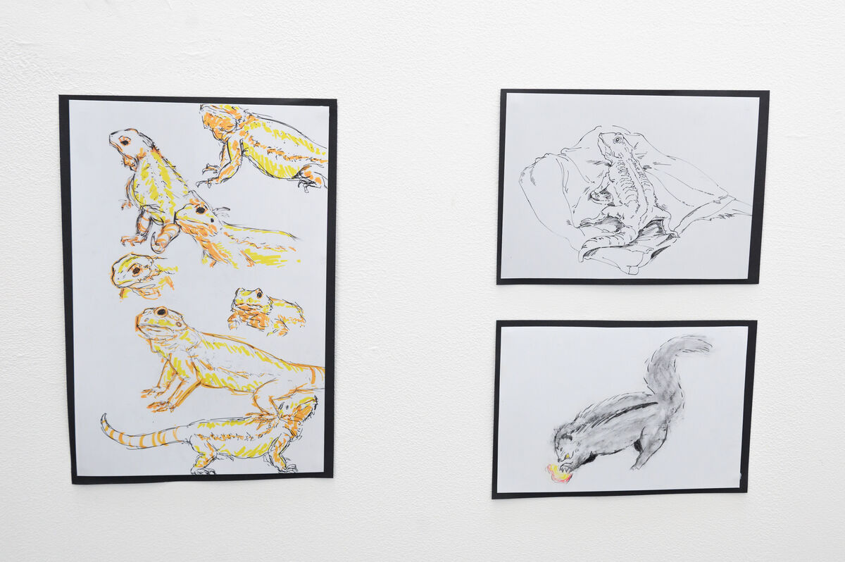 Student work on display at the animal life drawing exhibition