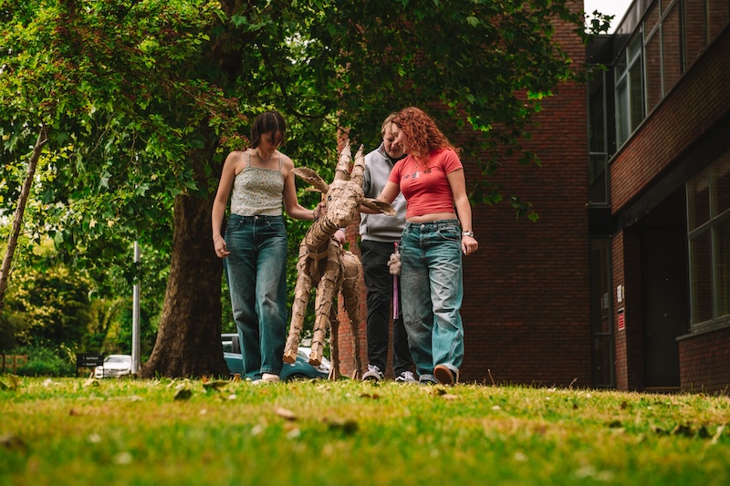 The herds. Gazelle. BA (Hons) Design for Theatre and Screen